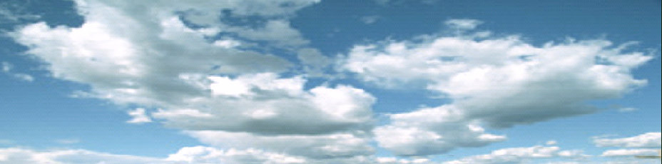 index001016.jpg