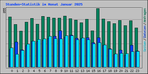 Stunden-Statistik im Monat Januar 2025