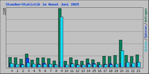 Stunden-Statistik im Monat Juni 2025