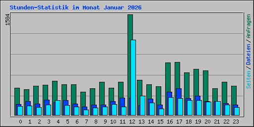Stunden-Statistik im Monat Januar 2026
