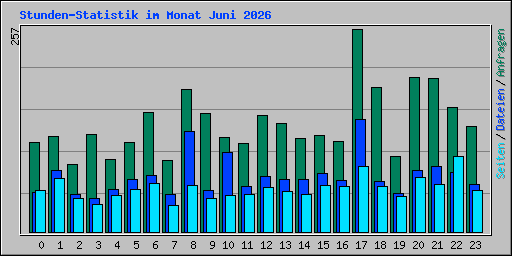 Stunden-Statistik im Monat Juni 2026